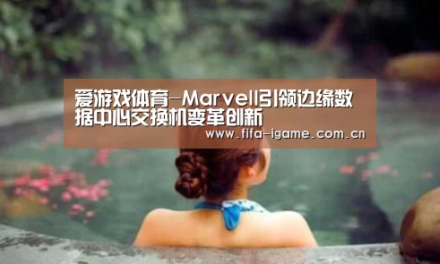 爱游戏体育-Marvell引领边缘数据中心交换机变革创新(图2) 爱游戏下载