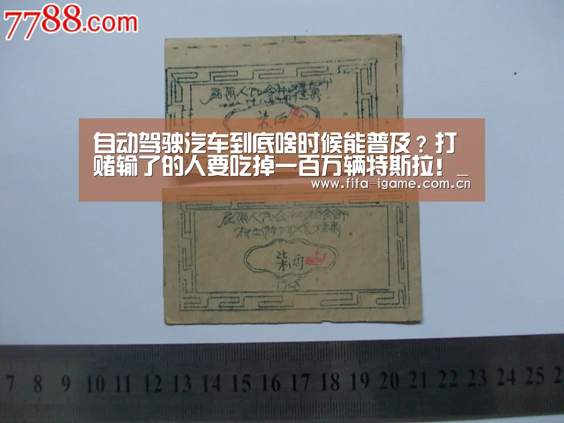 自动驾驶汽车到底啥时候能普及?打赌输了的人要吃掉一百万辆特斯拉!_爱游戏app(图1) 爱游戏体育下载