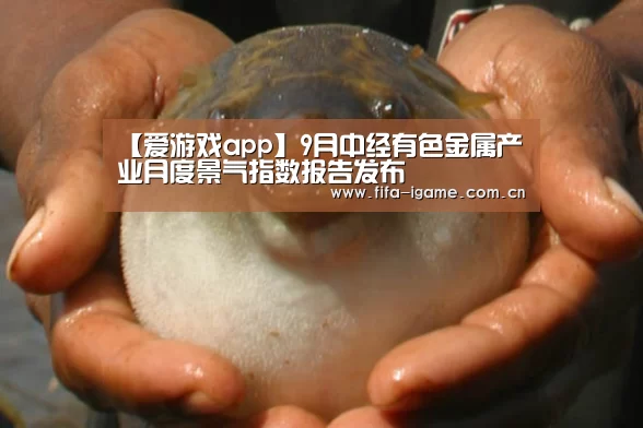 【爱游戏app】9月中经有色金属产业月度景气指数报告发布(图2) 爱游戏下载