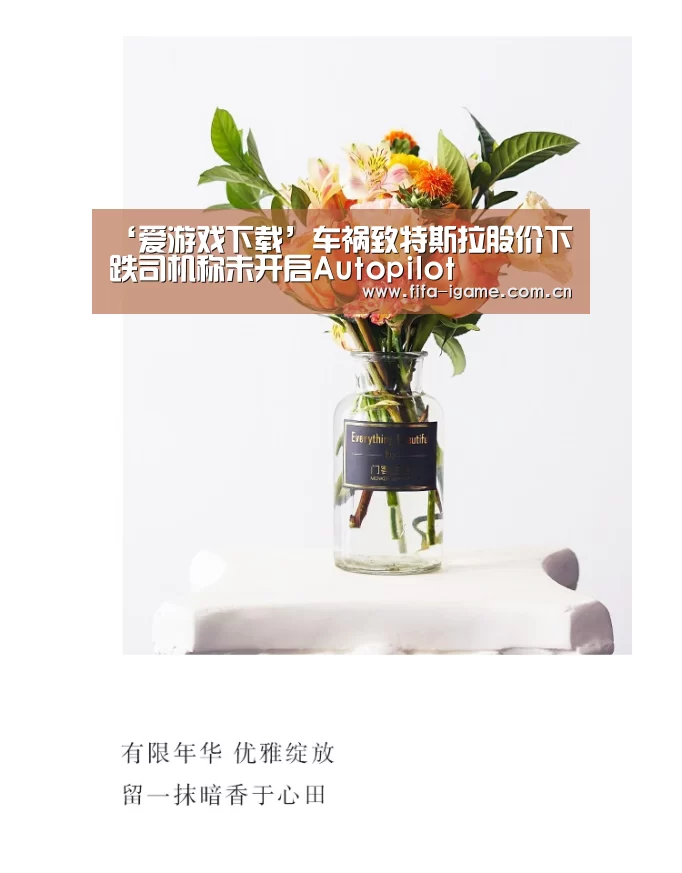 ‘爱游戏下载’车祸致特斯拉股价下跌司机称未开启Autopilot(图1) 爱游戏app