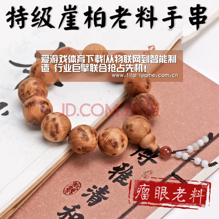 爱游戏体育下载|从物联网到智能制造 行业巨擘联合抢占先机!(图1) 爱游戏体育下载