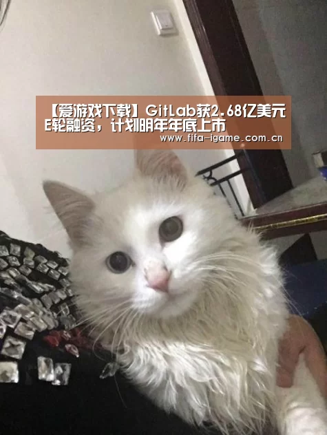 【爱游戏下载】GitLab获2.68亿美元E轮融资,计划明年年底上市(图2) 爱游戏app